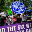 Activists sound alarm on Missouri abortion amendment: ‘Infinitely more than abortion’