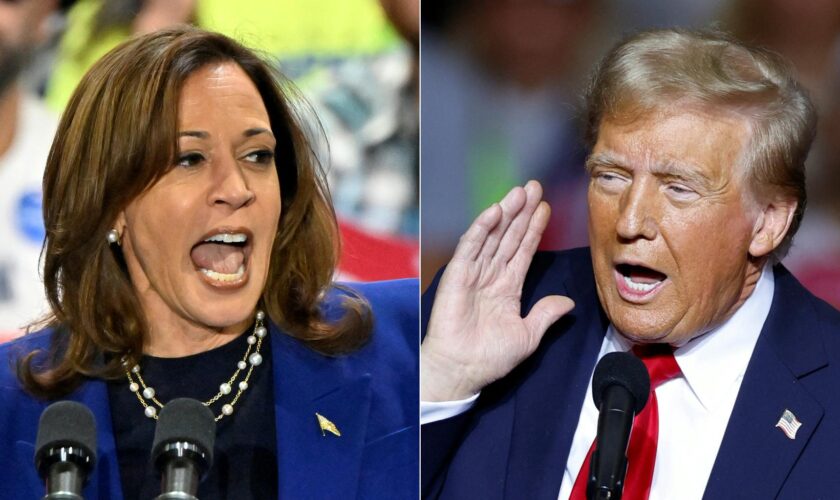 Trump ou Harris, ce que les derniers sondages disent dans les États clés à deux jours de la présidentielle