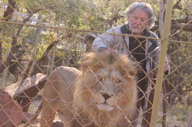 'Lion Man' who raised cubs and treated them as 'children' made fatal mistake