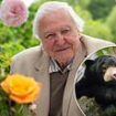 Sir David Attenborough sparks concern as fans notice 'change' in his voice while watching new series Asia