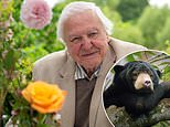 Sir David Attenborough sparks concern as fans notice 'change' in his voice while watching new series Asia