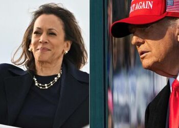 US-Wahlkampf: Donald Trump fabuliert über Wahlbetrug, Kamala Harris umgarnt arabischstämmige Wähler