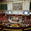 Le budget 2025 revient à l’Assemblée nationale, quelles sont les issues encore possibles ?