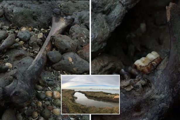 'I went to UK's 'ghost island' you can only see by kayak – what happened next was eerie'