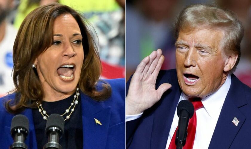 En direct : Harris ou Trump, les États-Unis retiennent leur souffle à la veille du scrutin