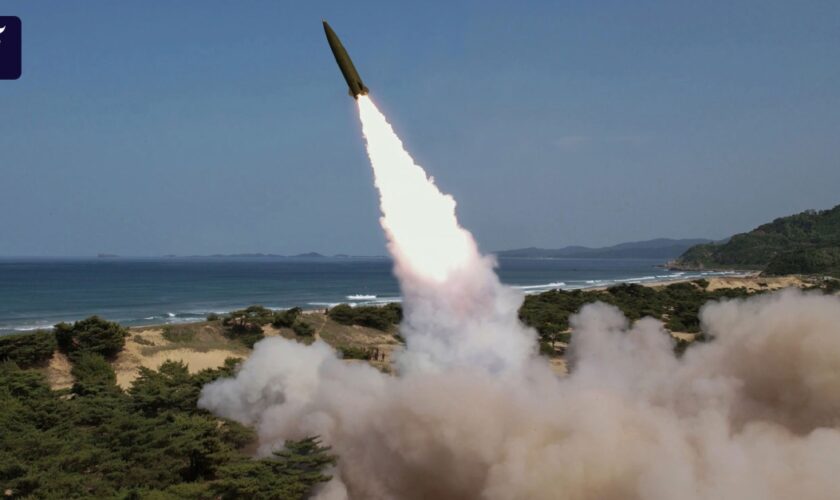 Nordkorea feuert Raketensalve ab