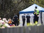 Jumping castle operator at centre of Hillcrest tragedy that killed six Tasmanian children faces court