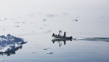 Au Groenland, un nouveau système de quotas inquiète les petits pêcheurs