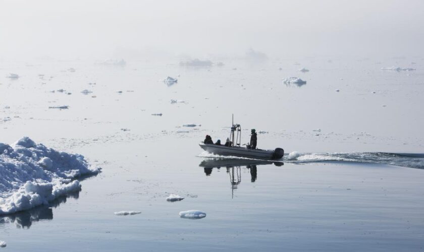 Au Groenland, un nouveau système de quotas inquiète les petits pêcheurs