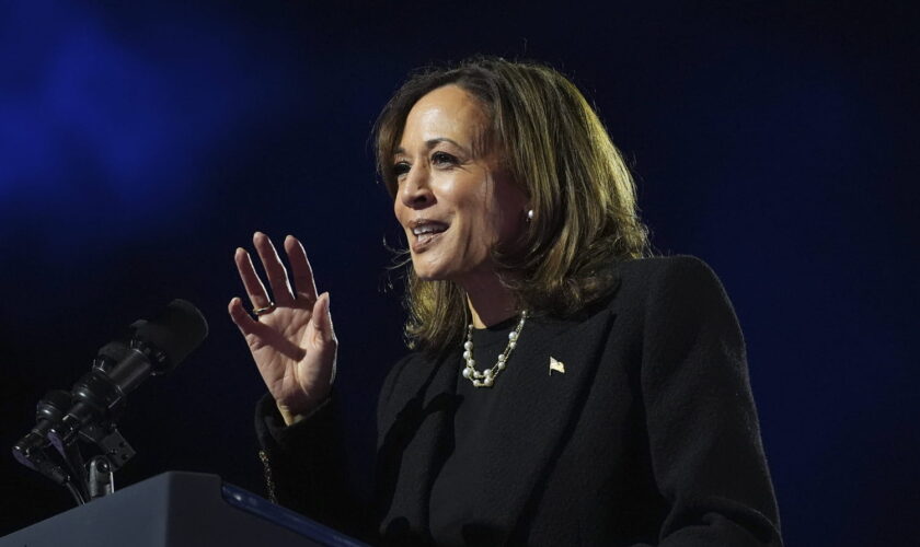 Programme de Kamala Harris : économie, politique internationale, écologie... quelles sont les mesures clés proposées par la candidate démocrate ?