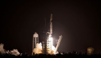 An Bord einer Falcon 9-Rakete von SpaceX wurde "Lignosat" ins All befördert. Foto: Jennifer Briggs/ZUMA Press Wire/dpa