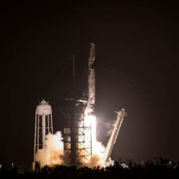 An Bord einer Falcon 9-Rakete von SpaceX wurde "Lignosat" ins All befördert. Foto: Jennifer Briggs/ZUMA Press Wire/dpa