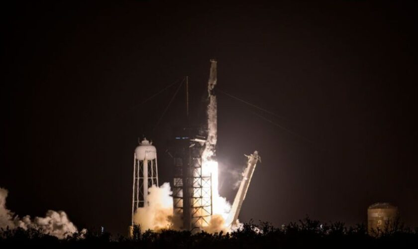 An Bord einer Falcon 9-Rakete von SpaceX wurde "Lignosat" ins All befördert. Foto: Jennifer Briggs/ZUMA Press Wire/dpa