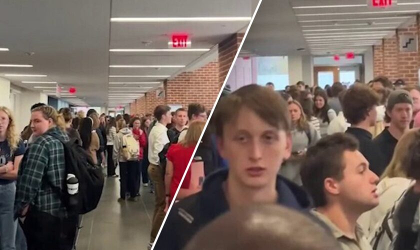 College students at Liberty University in Virginia make 'huge line' to vote in presidential election: video