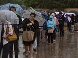 Election day 2024 in photos: From biblical rain in Texas to dogs at the polling booth and the candidates casting their votes