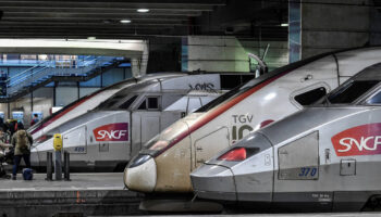 Grève à la SNCF : les syndicats appellent à une journée de mobilisation le 21 novembre avant un possible «mouvement plus long en décembre»