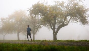 Der Nebel hält sich noch einige Tage in Hessen. (Symbolbild) Foto: Jörg Halisch/dpa