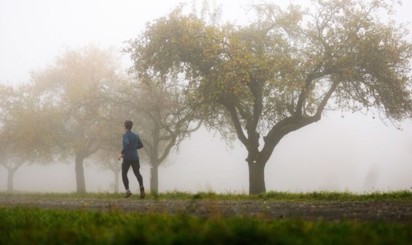 Der Nebel hält sich noch einige Tage in Hessen. (Symbolbild) Foto: Jörg Halisch/dpa