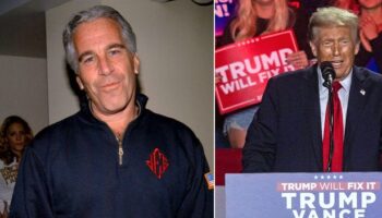 Donald Trump's links to Jeffrey Epstein and why private island circle is in 'blind panic'