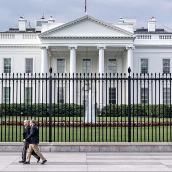 US-Wahlsystem: So geht es nach dem Wahlsieg Donald Trumps weiter