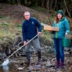 British rivers filled with almost 34,000 tonnes of toxic farming waste