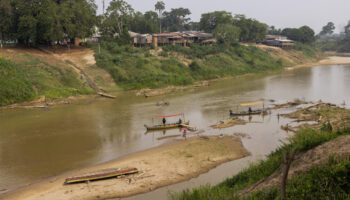 Au Brésil, la déforestation de l'Amazonie atteint son plus bas niveau depuis 2015