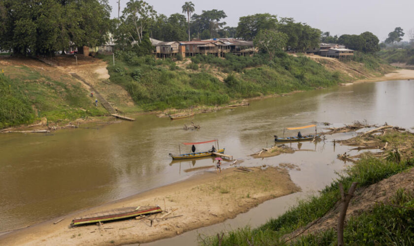 Au Brésil, la déforestation de l'Amazonie atteint son plus bas niveau depuis 2015