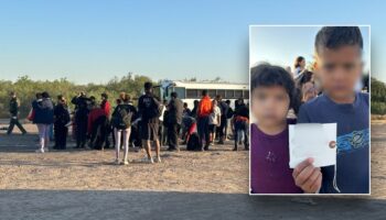 Young siblings discovered with address on piece of paper among massive group of illegals at border