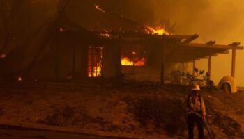 USA: Waldbrand in Südkalifornien treibt Tausende aus den Häusern