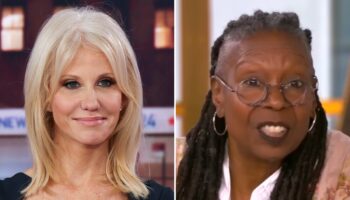 Kellyanne Conway thanks The View hosts for Trump’s historic victory