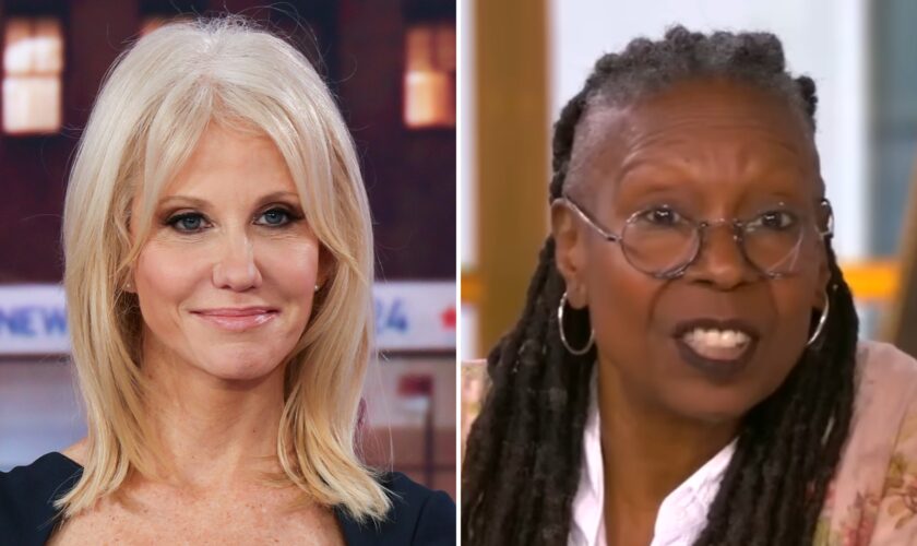 Kellyanne Conway thanks The View hosts for Trump’s historic victory