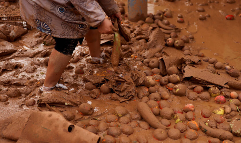 Kakis, oranges, mandarines… Cultures du sud de l’Espagne ravagées par les inondations : quelles conséquences pour les étals français ?