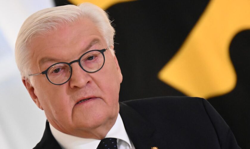 Statement im Video: "Ende einer Koalition ist nicht das Ende der Welt" – Steinmeier über Ampel-Aus