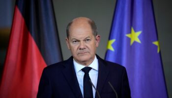 Pressure piles on Germany’s Scholz to hold quick elections after coalition collapses