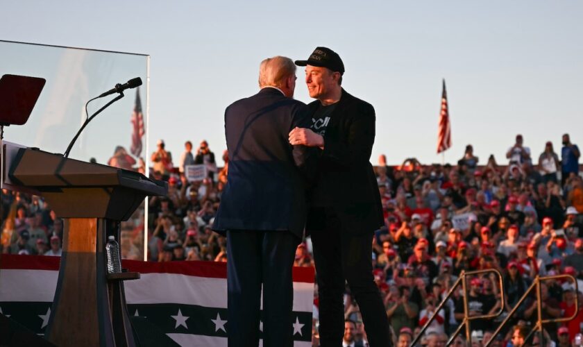 Elon Musk (d) et Donald Trump lors d'un meeting de l'ancien président américain à Butler, le 5 octobre 2024 en Pennsylvanie