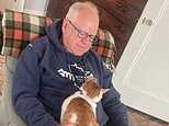 Moping Tim Walz licks his wounds with his cat as he breaks silence on election defeat