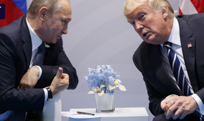 Liveblog zur US-Wahl 2024: Trump erwägt Kontakt mit Putin: „Ich denke, wir werden sprechen“