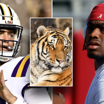 LSU may have live tiger on sideline vs Alabama: reports