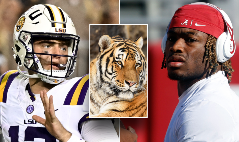 LSU may have live tiger on sideline vs Alabama: reports