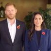 Prince Harry and Meghan Markle break cover for first time in months after brutal Trump win