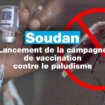 Le Soudan lance sa campagne de vaccination contre le paludisme