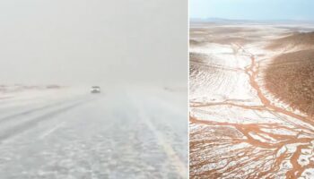 Weiß bedeckte Kamele: Saudi Arabien: In dieser Wüstenregion fällt das erste Mal Schnee