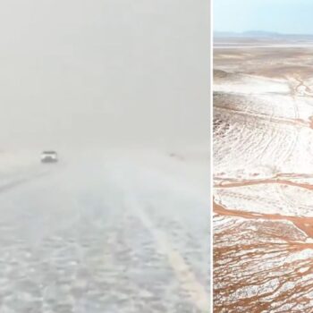 Weiß bedeckte Kamele: Saudi Arabien: In dieser Wüstenregion fällt das erste Mal Schnee