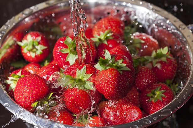 'Genius' food storage hack to keep all fruit fresh for at least 12 days