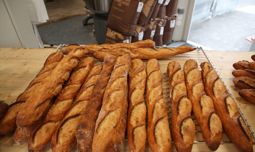 Nouveau prix record de la baguette, la vôtre est-elle plus chère qu'ailleurs en France ?