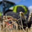 Ein Landwirt sorgt mit seinem Traktor für einen Stromausfall. (Symbolbild) Foto: Klaus-Dietmar Gabbert/dpa