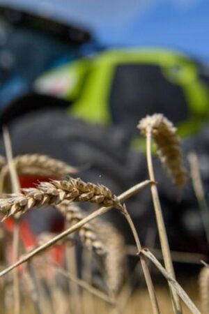 Ein Landwirt sorgt mit seinem Traktor für einen Stromausfall. (Symbolbild) Foto: Klaus-Dietmar Gabbert/dpa