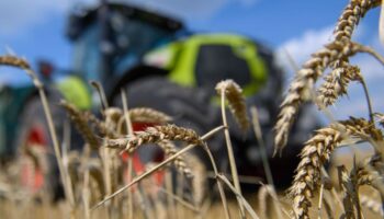 Ein Landwirt sorgt mit seinem Traktor für einen Stromausfall. (Symbolbild) Foto: Klaus-Dietmar Gabbert/dpa