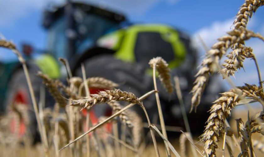 Ein Landwirt sorgt mit seinem Traktor für einen Stromausfall. (Symbolbild) Foto: Klaus-Dietmar Gabbert/dpa