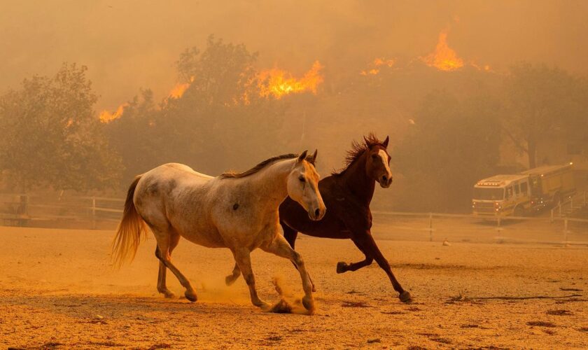 Feuerwehr ist machtlos gegen Waldbrände in Kalifornien